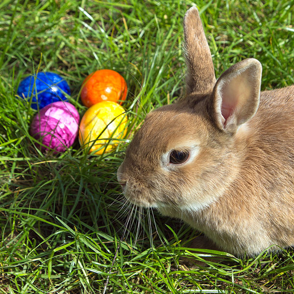 Ferienprogramm und Schließungszeiten über Ostern